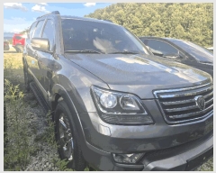  2025Ÿ31688 뱸  󸮵 295 ġ, ä ڻ    