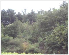  2025Ÿ��31700 ��� ���ɱ� ������ �θ� 284      ����(��1)���