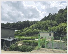  2025Ÿ��31700 ��� ���ɱ� ������ �θ� 284      ����(��1)���