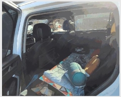  2025Ÿ��31706 �뱸 ���� �󸮵� 295 ������ġ����, ä���� �����ٰ����̳��ȼ����ڸ��� �ֽ�ȸ�翡�� ����  �������