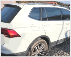  2025Ÿ��31706 �뱸 ���� �󸮵� 295 ������ġ����, ä���� �����ٰ����̳��ȼ����ڸ��� �ֽ�ȸ�翡�� ����  �������