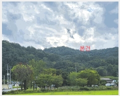  2025Ÿ��31712 ��� ���ɱ� ����� �ľϸ� ��40-2      ����(�Ӿ�)���