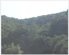  2025Ÿ��31712 ��� ���ɱ� ����� �ľϸ� ��40-2      ����(�Ӿ�)���