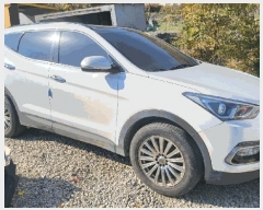  2025Ÿ��31762 �뱸 ���� �󸮵� 295 ������ġ����      �������