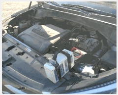  2025Ÿ��31762 �뱸 ���� �󸮵� 295 ������ġ����      �������