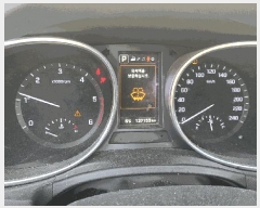  2025Ÿ��31762 �뱸 ���� �󸮵� 295 ������ġ����      �������