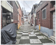  2025Ÿ��31779  ���ð��