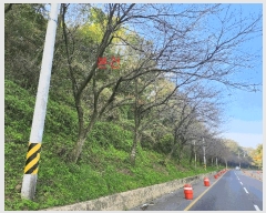  2025Ÿ��31791  ����������