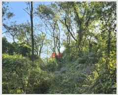  2025Ÿ��31791  ����������