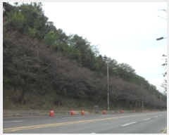  2025Ÿ��31791  ����������