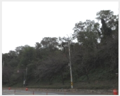  2025Ÿ��31791  ����������