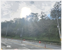  2025Ÿ��31791  ����������