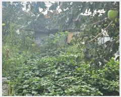  2025Ÿ��31797 ��� ���ֱ� ������ ���̸� 675-2      ����(����)���