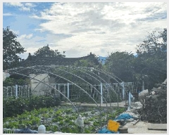  2025Ÿ��31797 ��� ���ֱ� ������ ���̸� 675-2      ����(����)���