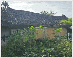  2025Ÿ��31797 ��� ���ֱ� ������ ���̸� 675-2      ����(����)���