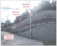  2025Ÿ��31869 ��� ���ɱ� ����� ��븮 ��59-28      ������