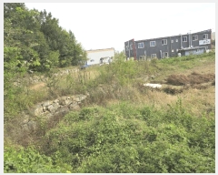  2025Ÿ��31934  ����