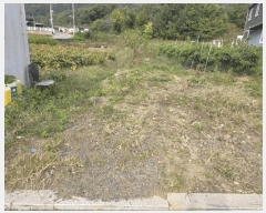  2025Ÿ��31934  ����