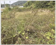  2025Ÿ��31934  ����