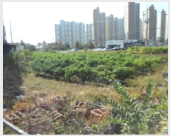  2025Ÿ��31934  ����