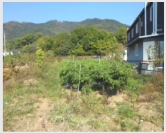  2025Ÿ��31934  ����