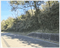  2025Ÿ��31939 �뱸 �޼��� ������ ���̸� 37      ����(����)���