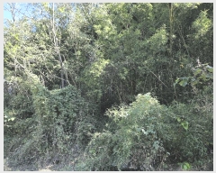  2025Ÿ��31939 �뱸 �޼��� ������ ���̸� 37      ����(����)���