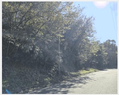  2025Ÿ��31939 �뱸 �޼��� ������ ���̸� 37      ����(����)���