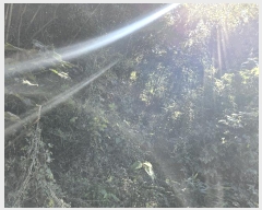  2025Ÿ��31939 �뱸 �޼��� ������ ���̸� 37      ����(����)���