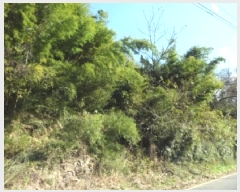  2025Ÿ��31939 �뱸 �޼��� ������ ���̸� 37      ����(����)���