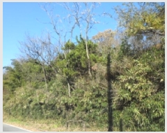  2025Ÿ��31939 �뱸 �޼��� ������ ���̸� 37      ����(����)���