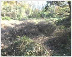  2025Ÿ��31939 �뱸 �޼��� ������ ���̸� 37      ����(����)���