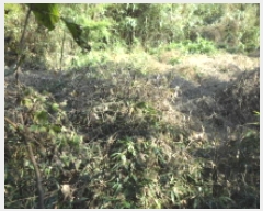  2025Ÿ��31939 �뱸 �޼��� ������ ���̸� 37      ����(����)���