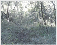  2025Ÿ��31954 �뱸 �޼��� ������ �� ��84-37      ����(�Ӿ�)���