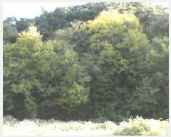  2025Ÿ��31954 �뱸 �޼��� ������ �� ��84-37      ����(�Ӿ�)���