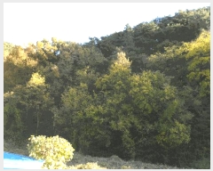  2025Ÿ��31954 �뱸 �޼��� ������ �� ��84-37      ����(�Ӿ�)���