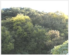  2025Ÿ��31954 �뱸 �޼��� ������ �� ��84-37      ����(�Ӿ�)���