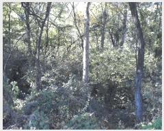  2025Ÿ��31954 �뱸 �޼��� ������ �� ��84-37      ����(�Ӿ�)���