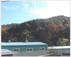  2025Ÿ��31954 �뱸 �޼��� ������ �� ��84-37      ����(�Ӿ�)���