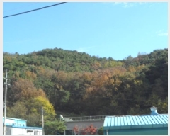  2025Ÿ��31954 �뱸 �޼��� ������ �� ��84-37      ����(�Ӿ�)���