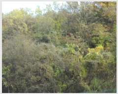  2025Ÿ��31954 �뱸 �޼��� ������ �� ��84-37      ����(�Ӿ�)���