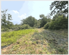  2025Ÿ��720  �������