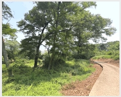  2025Ÿ720  ɱ  긮 36      (Ӿ)