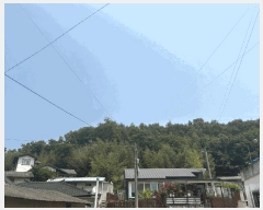  2025Ÿ720  ɱ  긮 36      (Ӿ)