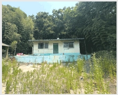  2025Ÿ720  ɱ  긮 36      (Ӿ)