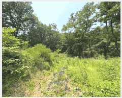  2025Ÿ720  ɱ  긮 36      (Ӿ)