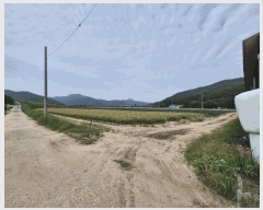  2025Ÿ��1143 �뱸 �޼��� ������ ������ 214-8      ���(�󰡽ü�)���