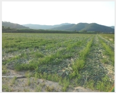  2025Ÿ��1143 �뱸 �޼��� ������ ������ 214-8      ���(�󰡽ü�)���