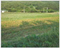  2025Ÿ��1143 �뱸 �޼��� ������ ������ 214-8      ���(�󰡽ü�)���