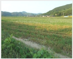  2025Ÿ��1143 �뱸 �޼��� ������ ������ 214-8      ���(�󰡽ü�)���